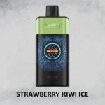 STRAWBERRY KIWI ICE
