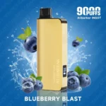 BLUEBERRY BLAST